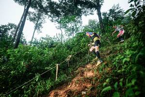 BIB: 
                            <button type="button" onclick="openModal(26201846)" class="btn btn-primary btn-sm float-right btn-popup" data-toggle="modal" data-target=".modal-high-quality">
                        <i class="fas fa-shopping-cart"></i> Add to Cart
                    </button>
                                            <button type="button" onclick="isThisMe(26201846, true)" class="btn btn-success btn-sm float-right btn-popup btn-isme hidden" data-toggle="tooltip" data-placement="bottom" title="นี่คือรูปของคุณใช่ไหม คลิกที่นี่เพื่อเอาเข้าอัลบั้ม">
                        <i class="fas fa-plus"></i> Add to album
                    </button>
                    <button type="button" onclick="isThisMe(26201846, false)" class="btn btn-warning btn-sm float-right btn-popup btn-isnotme hidden">
                        <i class="fas fa-ban"></i> Remove from album
                    </button>